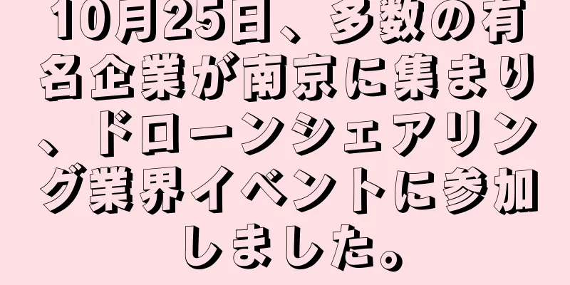 10月25日、多数の有名企業が南京に集まり、ドローンシェアリング業界イベントに参加しました。