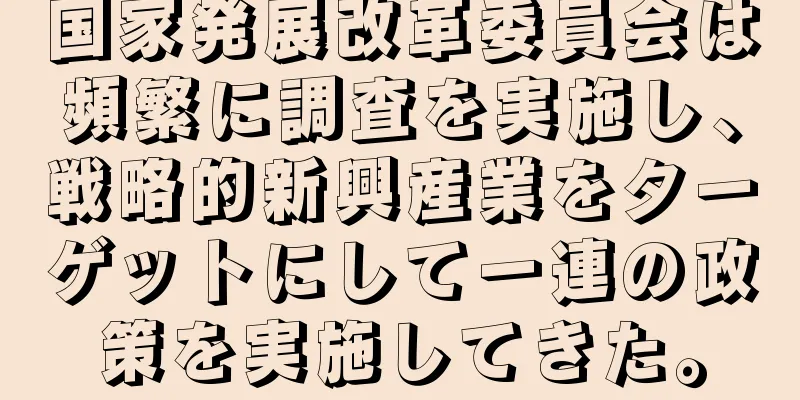国家発展改革委員会は頻繁に調査を実施し、戦略的新興産業をターゲットにして一連の政策を実施してきた。