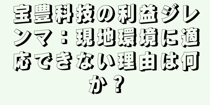 宝豊科技の利益ジレンマ：現地環境に適応できない理由は何か？