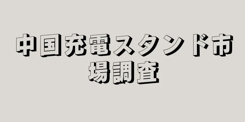 中国充電スタンド市場調査