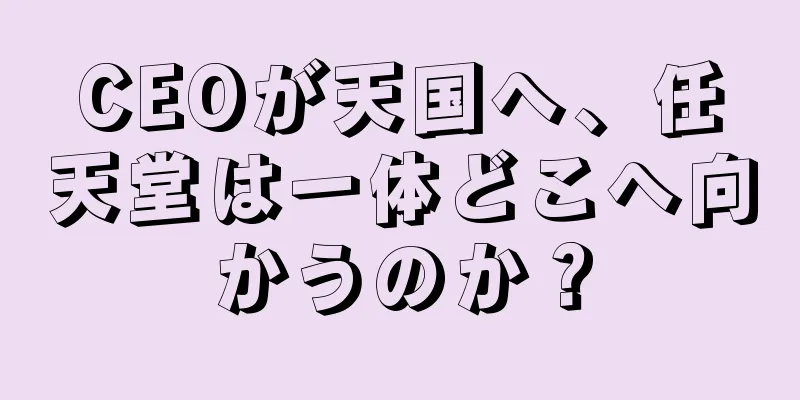 CEOが天国へ、任天堂は一体どこへ向かうのか？