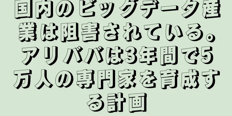国内のビッグデータ産業は阻害されている。アリババは3年間で5万人の専門家を育成する計画