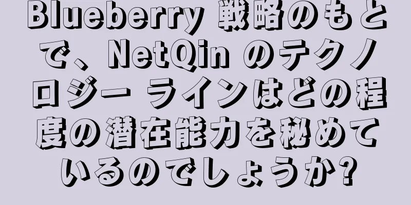 Blueberry 戦略のもとで、NetQin のテクノロジー ラインはどの程度の潜在能力を秘めているのでしょうか?