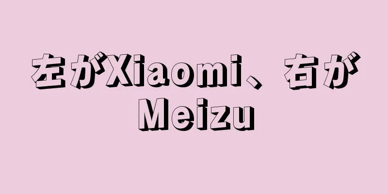 左がXiaomi、右がMeizu