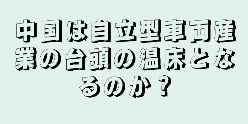 中国は自立型車両産業の台頭の温床となるのか？
