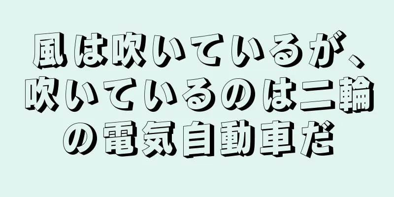 風は吹いているが、吹いているのは二輪の電気自動車だ