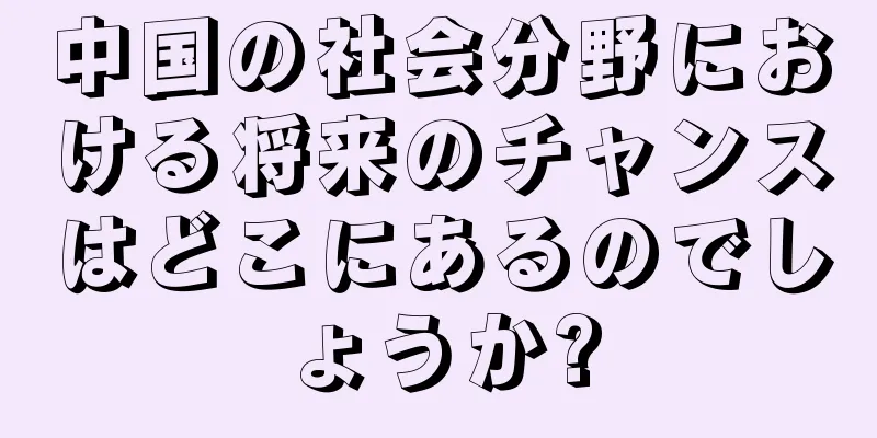 中国の社会分野における将来のチャンスはどこにあるのでしょうか?