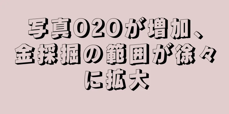 写真O2Oが増加、金採掘の範囲が徐々に拡大