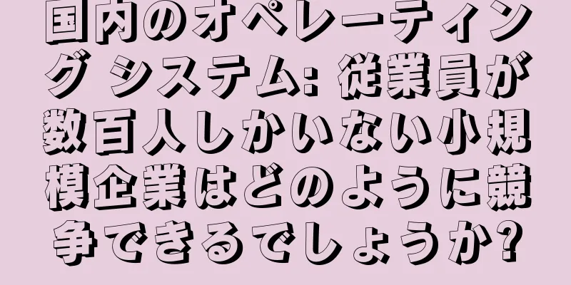 国内のオペレーティング システム: 従業員が数百人しかいない小規模企業はどのように競争できるでしょうか?