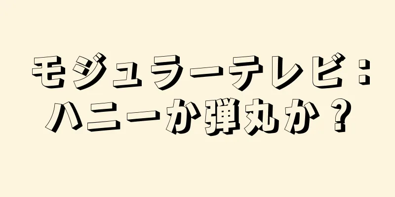 モジュラーテレビ：ハニーか弾丸か？