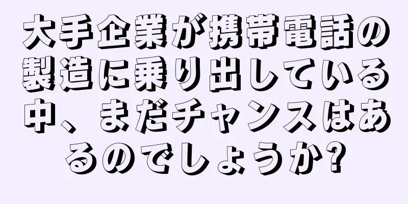 大手企業が携帯電話の製造に乗り出している中、まだチャンスはあるのでしょうか?