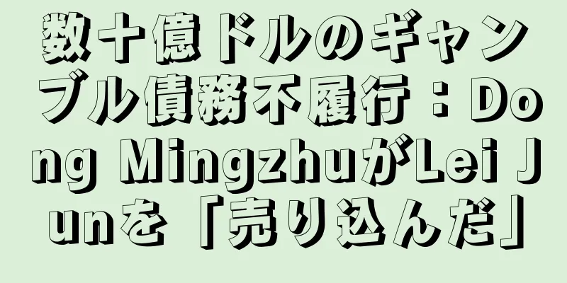 数十億ドルのギャンブル債務不履行：Dong MingzhuがLei Junを「売り込んだ」