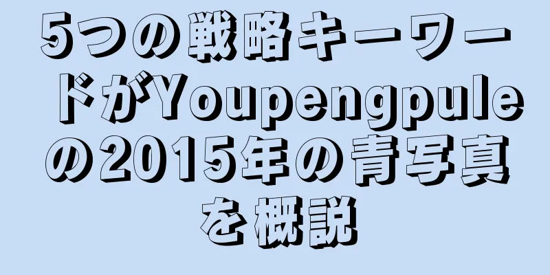 5つの戦略キーワードがYoupengpuleの2015年の青写真を概説
