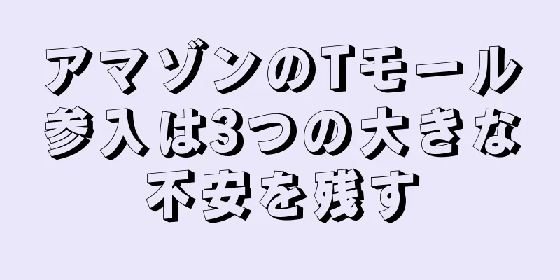 アマゾンのTモール参入は3つの大きな不安を残す