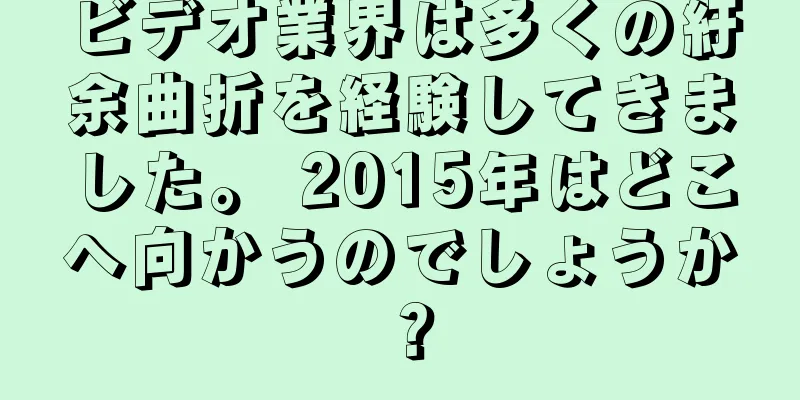 ビデオ業界は多くの紆余曲折を経験してきました。 2015年はどこへ向かうのでしょうか？