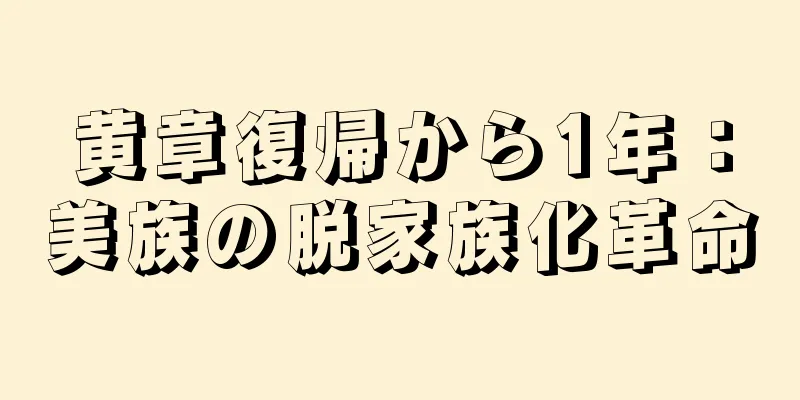 黄章復帰から1年：美族の脱家族化革命