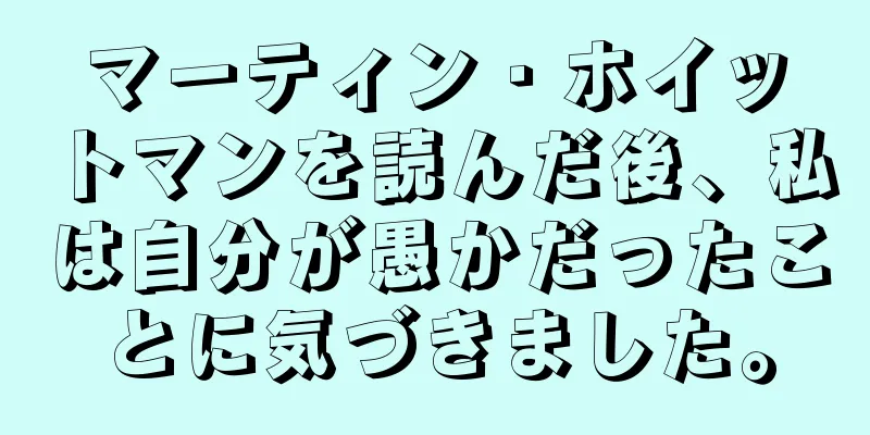 マーティン・ホイットマンを読んだ後、私は自分が愚かだったことに気づきました。