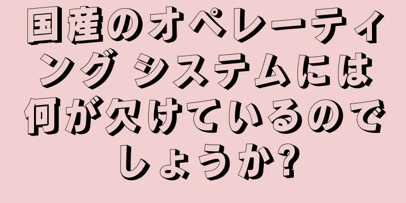 国産のオペレーティング システムには何が欠けているのでしょうか?