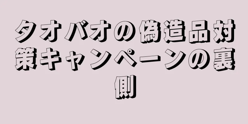 タオバオの偽造品対策キャンペーンの裏側
