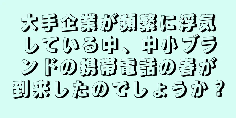 大手企業が頻繁に浮気している中、中小ブランドの携帯電話の春が到来したのでしょうか？