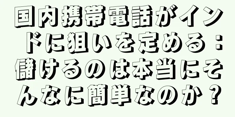 国内携帯電話がインドに狙いを定める：儲けるのは本当にそんなに簡単なのか？