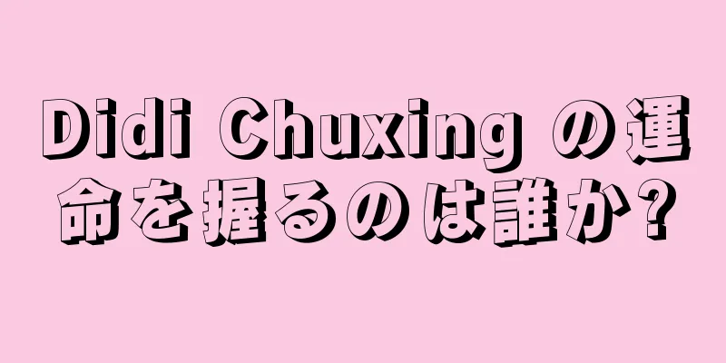Didi Chuxing の運命を握るのは誰か?