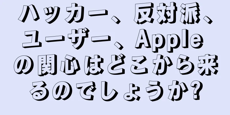 ハッカー、反対派、ユーザー、Apple の関心はどこから来るのでしょうか?