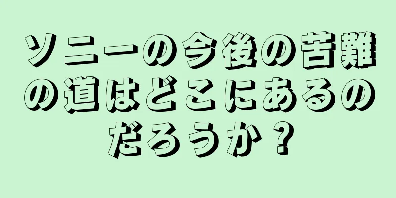 ソニーの今後の苦難の道はどこにあるのだろうか？