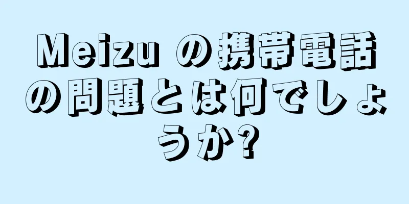 Meizu の携帯電話の問題とは何でしょうか?