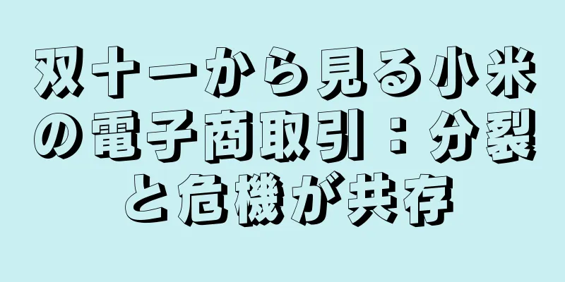 双十一から見る小米の電子商取引：分裂と危機が共存