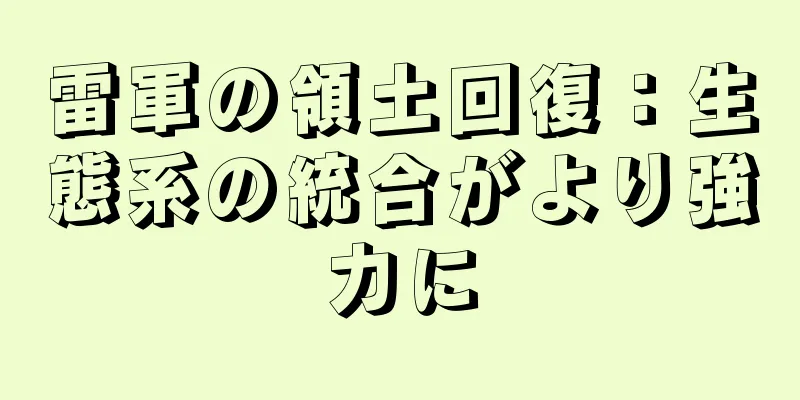 雷軍の領土回復：生態系の統合がより強力に