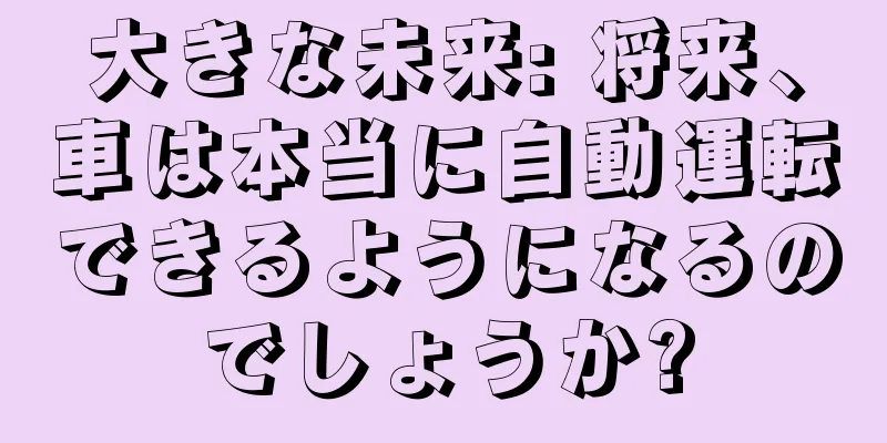 大きな未来: 将来、車は本当に自動運転できるようになるのでしょうか?