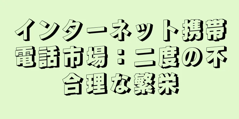 インターネット携帯電話市場：二度の不合理な繁栄
