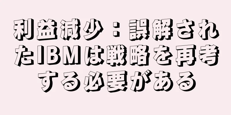 利益減少：誤解されたIBMは戦略を再考する必要がある