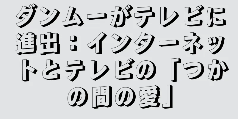 ダンムーがテレビに進出：インターネットとテレビの「つかの間の愛」