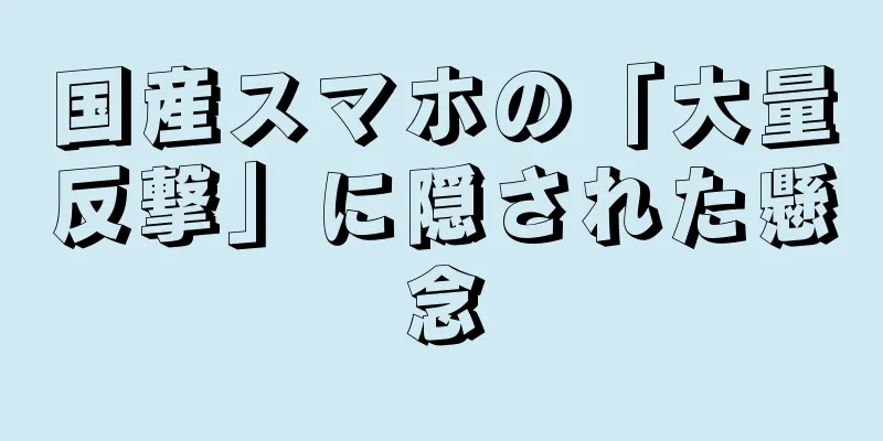 国産スマホの「大量反撃」に隠された懸念