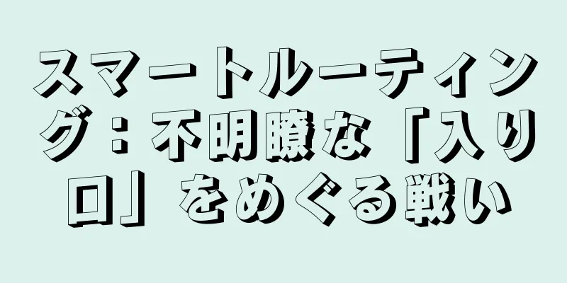 スマートルーティング：不明瞭な「入り口」をめぐる戦い
