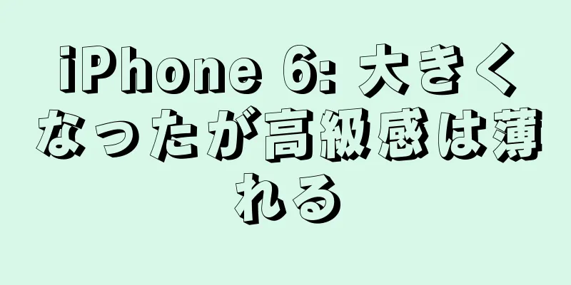 iPhone 6: 大きくなったが高級感は薄れる