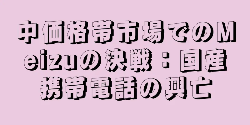 中価格帯市場でのMeizuの決戦：国産携帯電話の興亡
