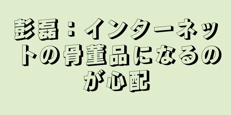 彭磊：インターネットの骨董品になるのが心配