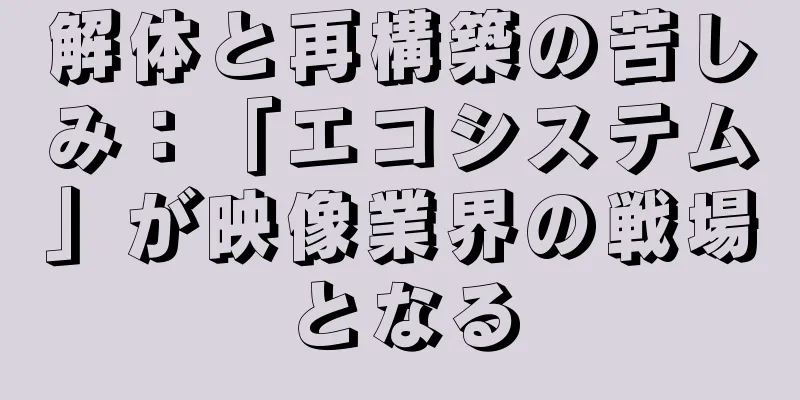 解体と再構築の苦しみ：「エコシステム」が映像業界の戦場となる