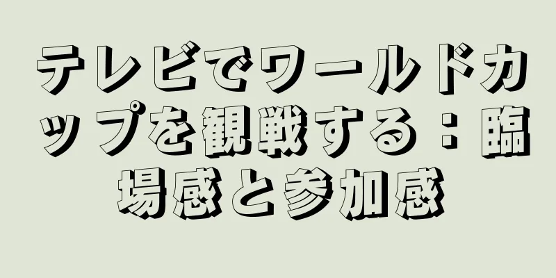 テレビでワールドカップを観戦する：臨場感と参加感