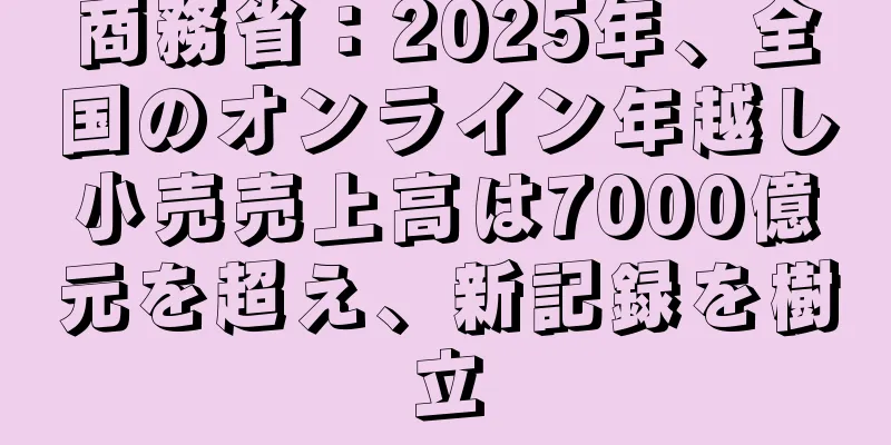 商務省：2025年、全国のオンライン年越し小売売上高は7000億元を超え、新記録を樹立