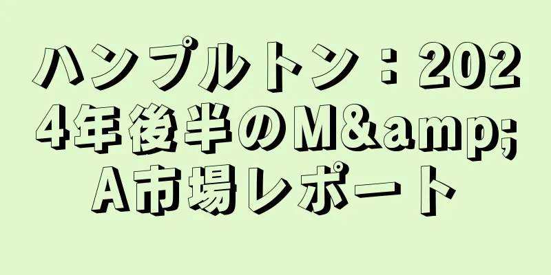 ハンプルトン：2024年後半のM&A市場レポート