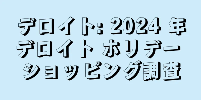 デロイト: 2024 年デロイト ホリデー ショッピング調査