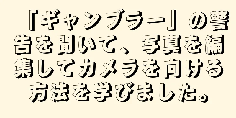 「ギャンブラー」の警告を聞いて、写真を編集してカメラを向ける方法を学びました。