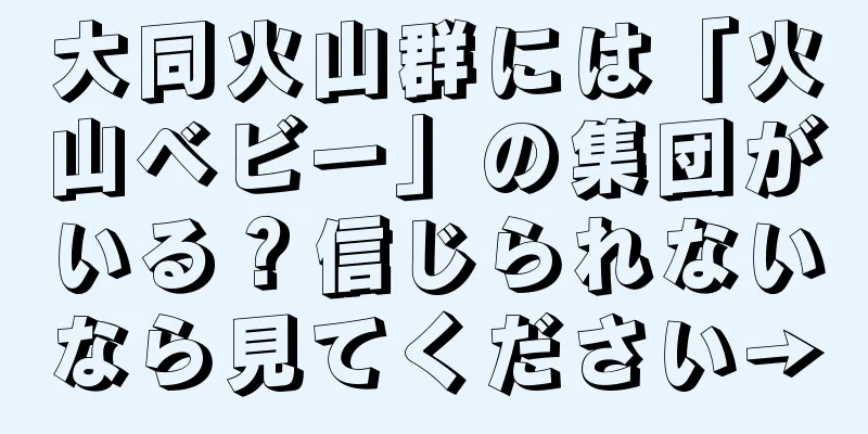 大同火山群には「火山ベビー」の集団がいる？信じられないなら見てください→