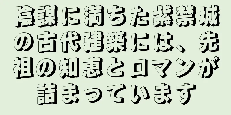 陰謀に満ちた紫禁城の古代建築には、先祖の知恵とロマンが詰まっています