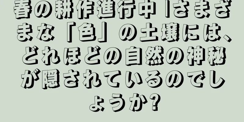 春の耕作進行中 |さまざまな「色」の土壌には、どれほどの自然の神秘が隠されているのでしょうか?