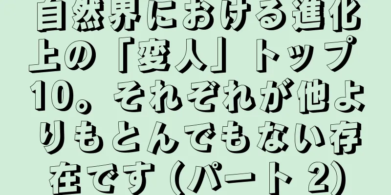 自然界における進化上の「変人」トップ 10。それぞれが他よりもとんでもない存在です (パート 2)